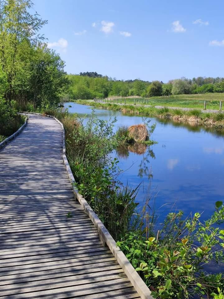 Villa Le Grand Chene Condette Esterno foto